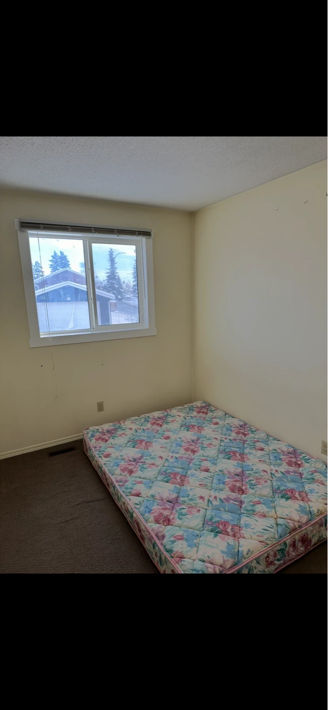 Two bedrooms bi-level house for rent - photo 3
