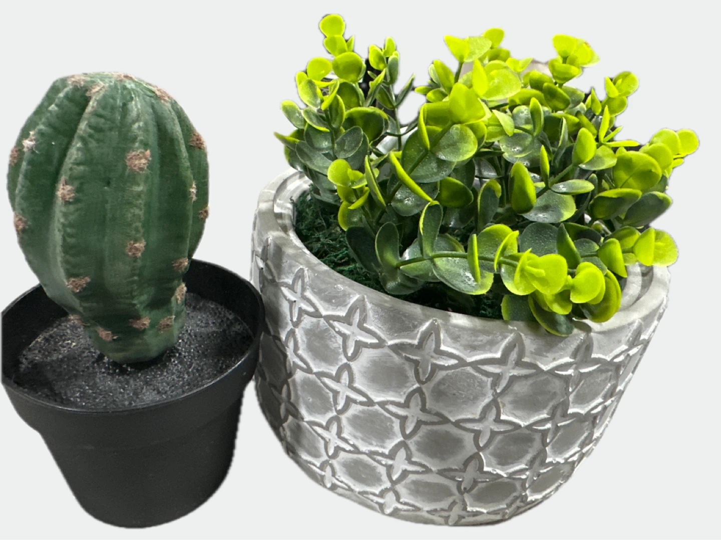 Artificial Cactus and Greenery Plant Set