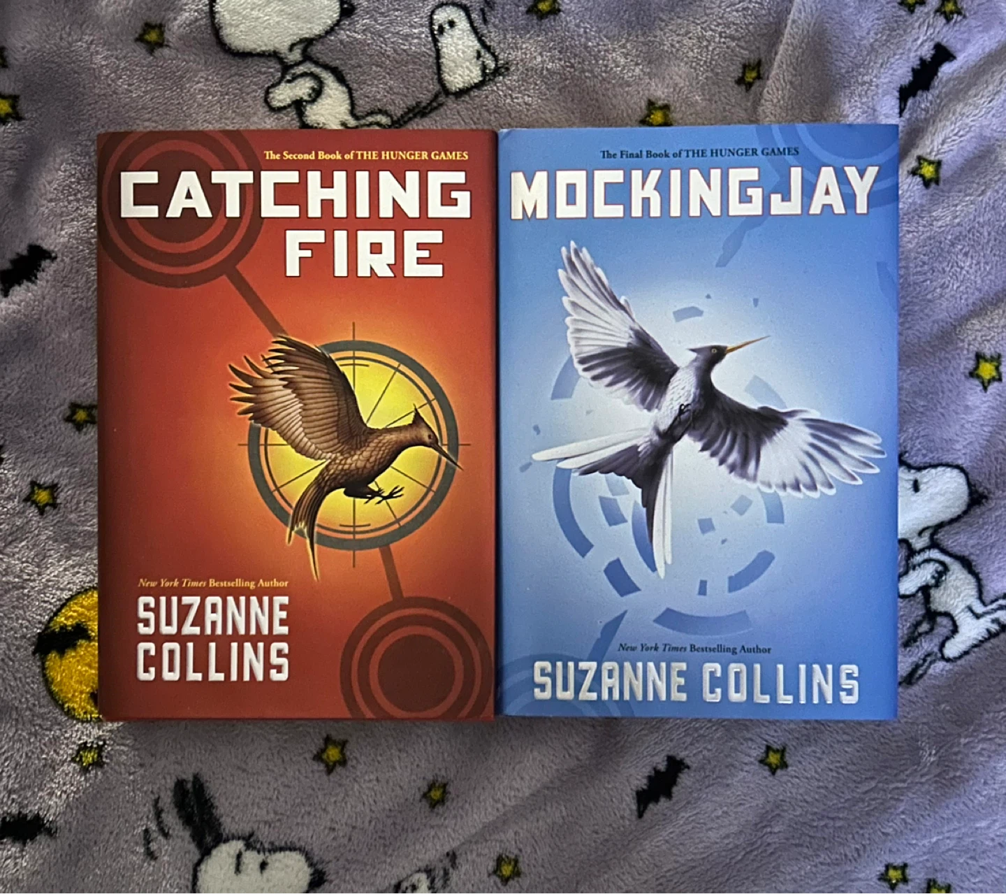 The Hunger Games: Catching Fire and Mockingjay Hardcover Books