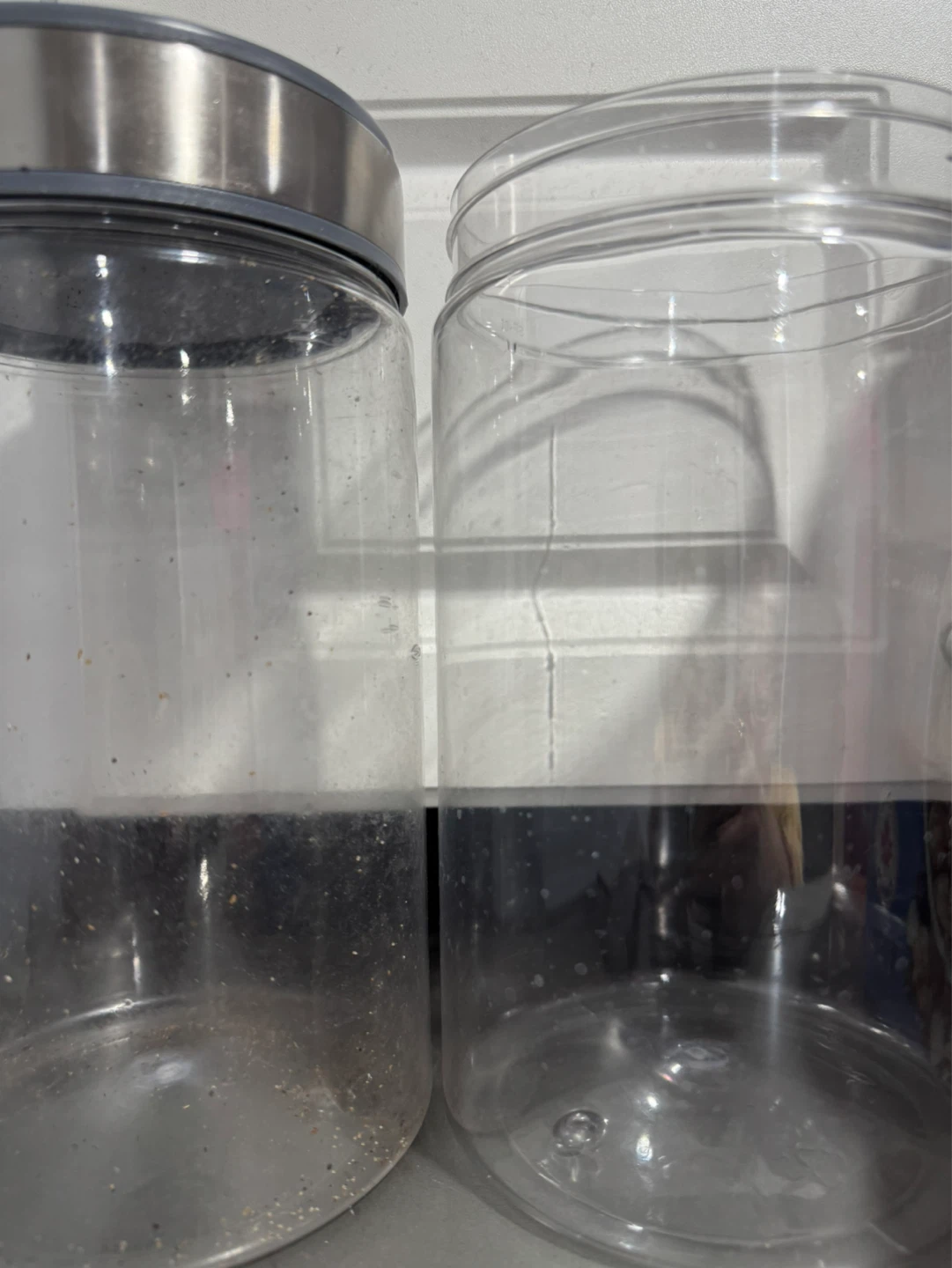 Storage containers with lid