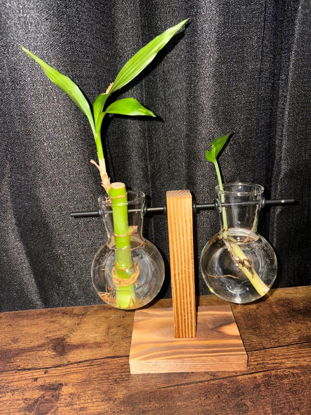 Wooden Desk Plant Vase with 2 Glass Holders