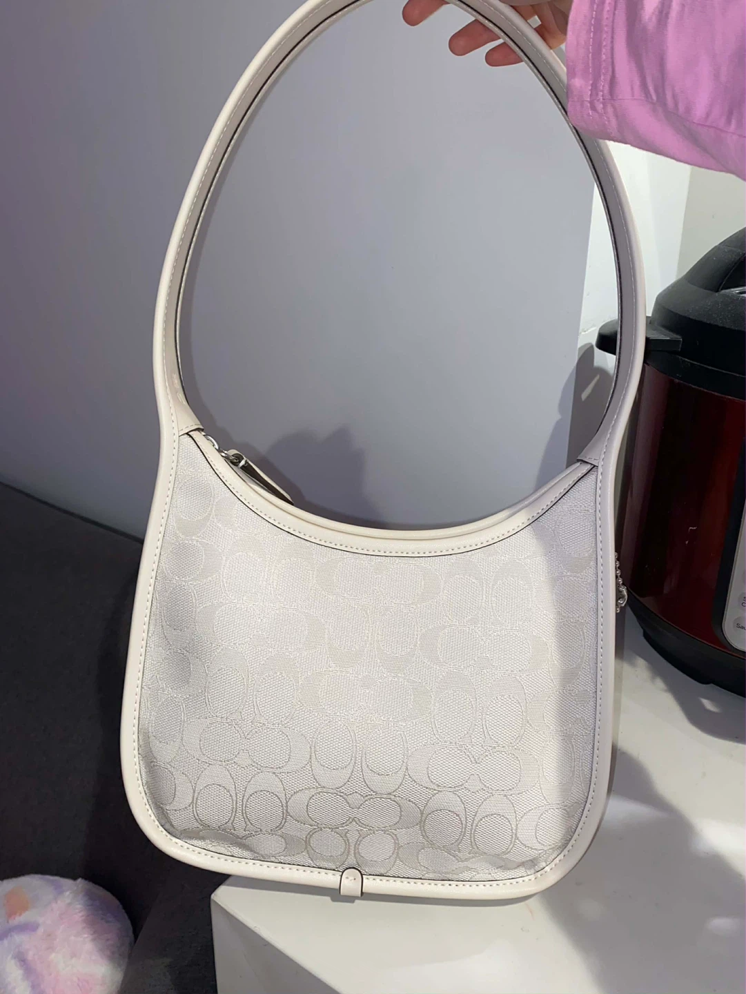 Coach Signature Hobo Shoulder Bag