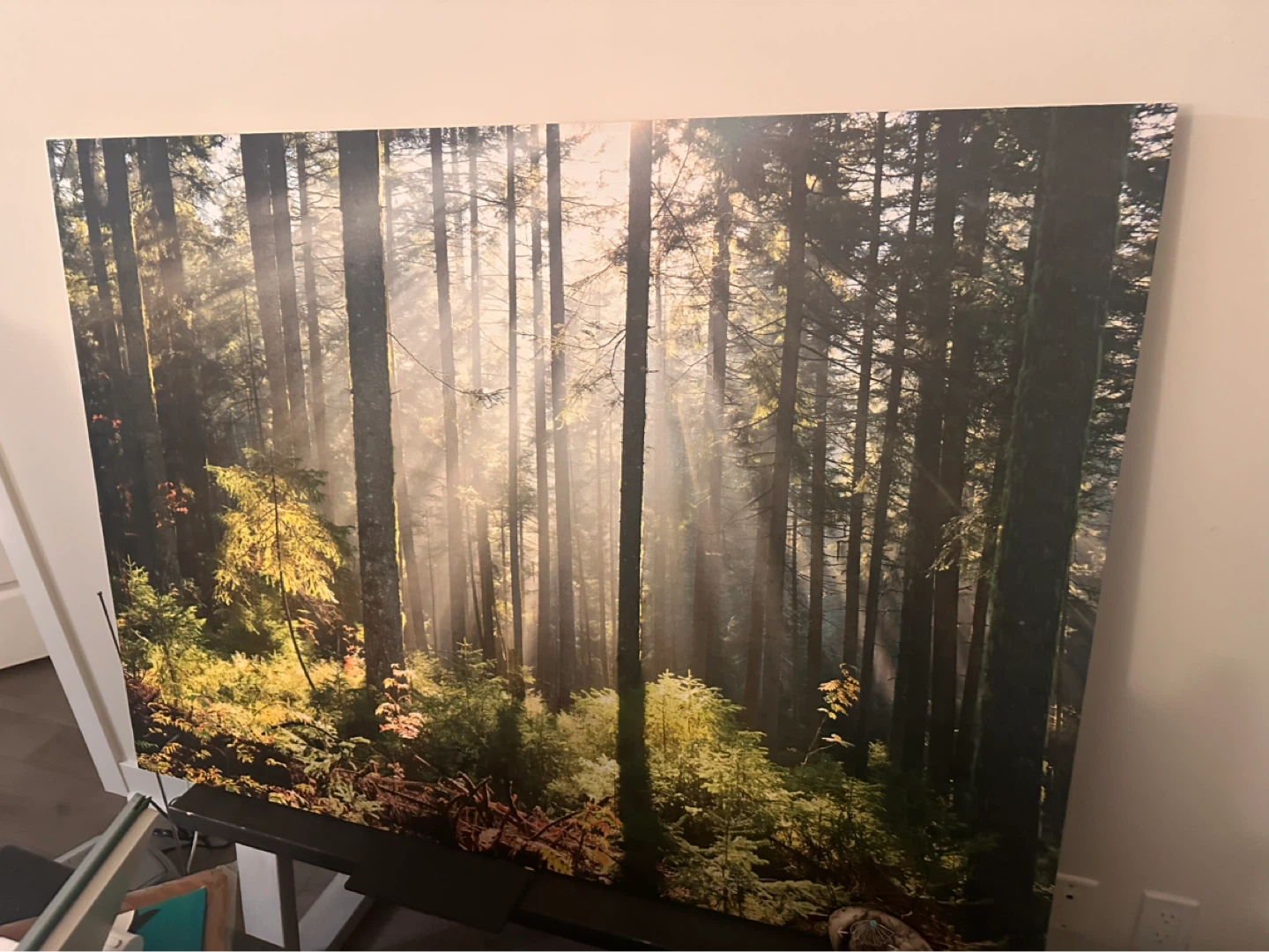 Large Forest Scene Canvas Wall Art