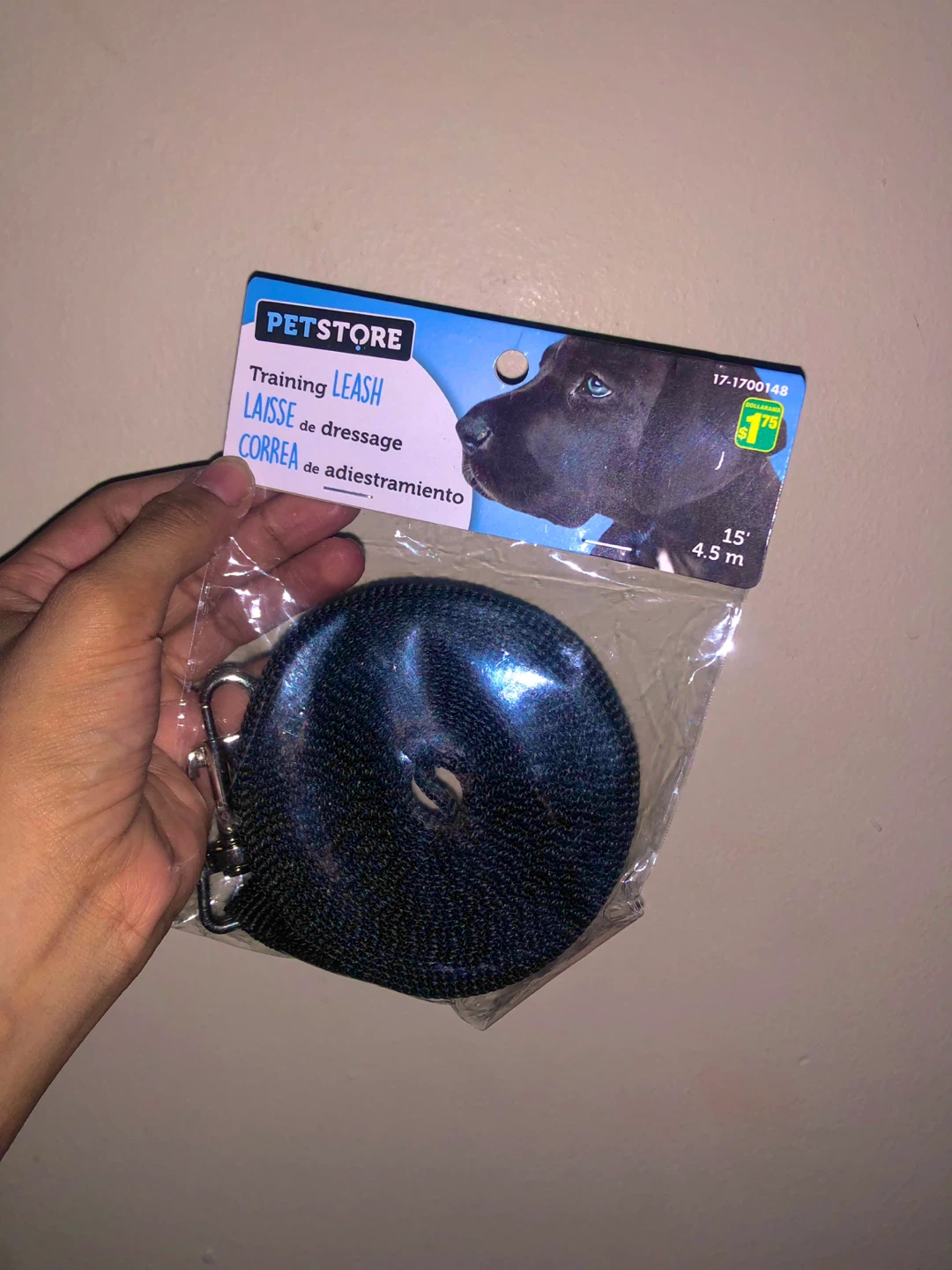 Dog Leash