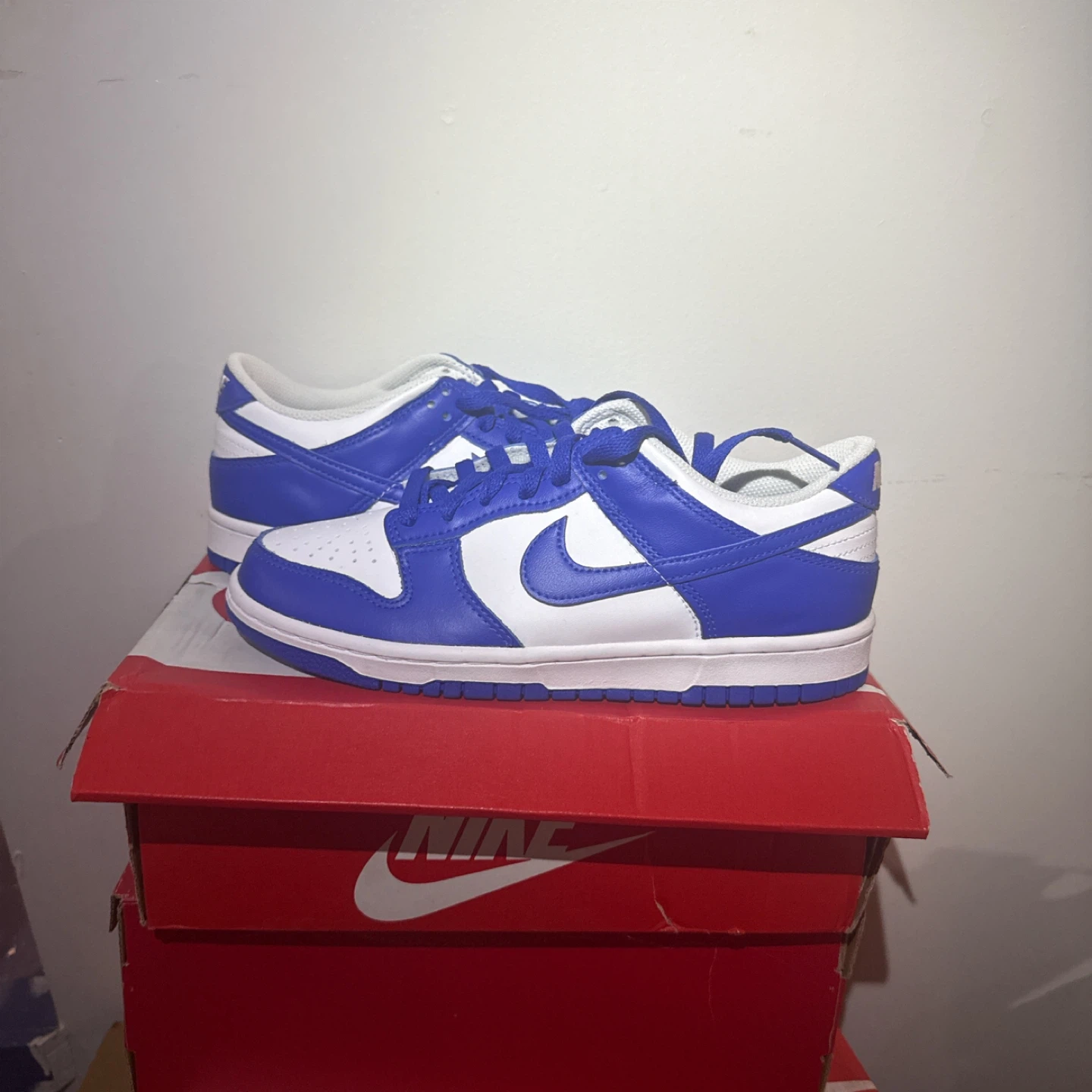 Nike Dunk Low Royal Blue White Sneakers
