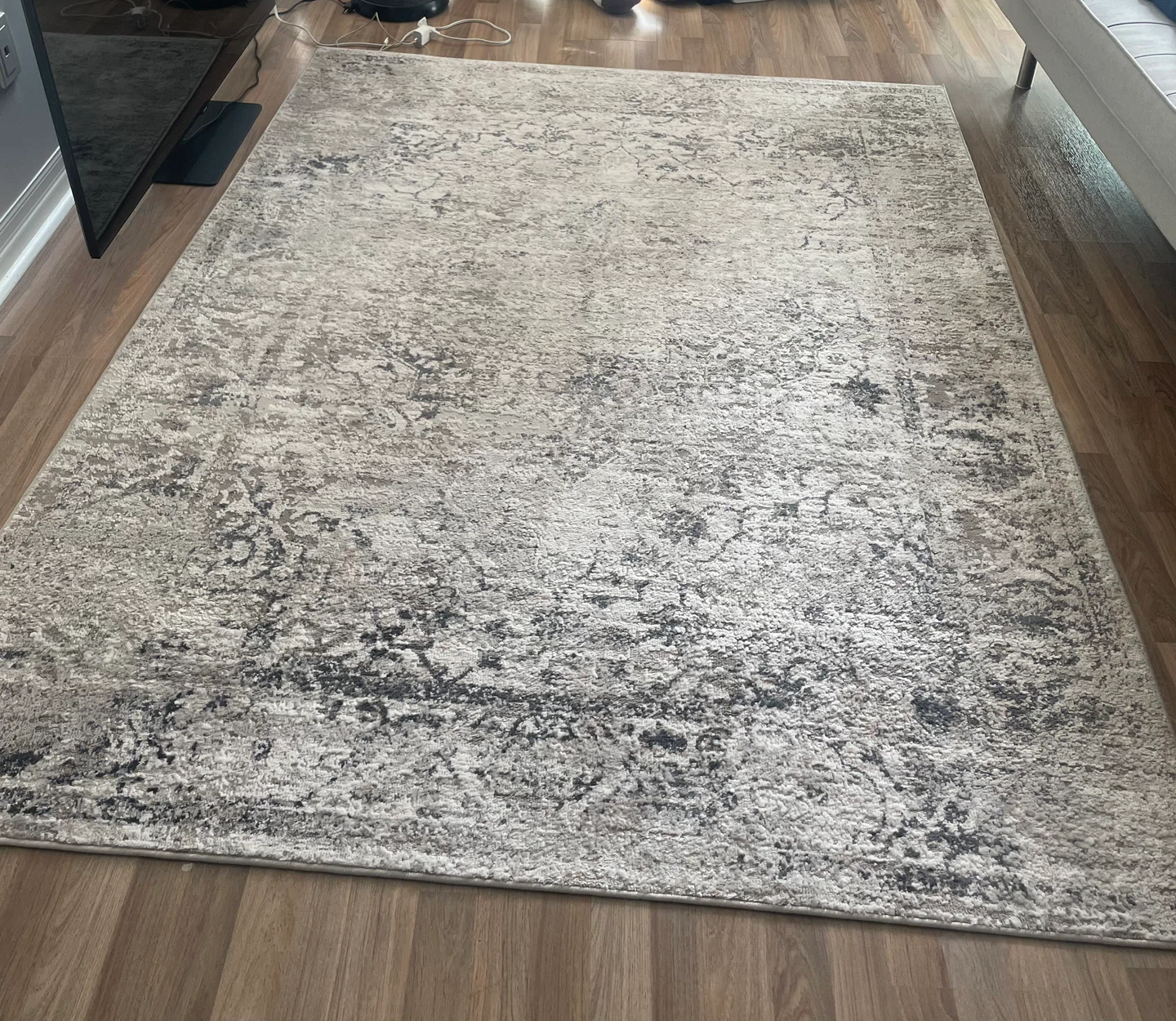 Everlasting Area Rug - Beige