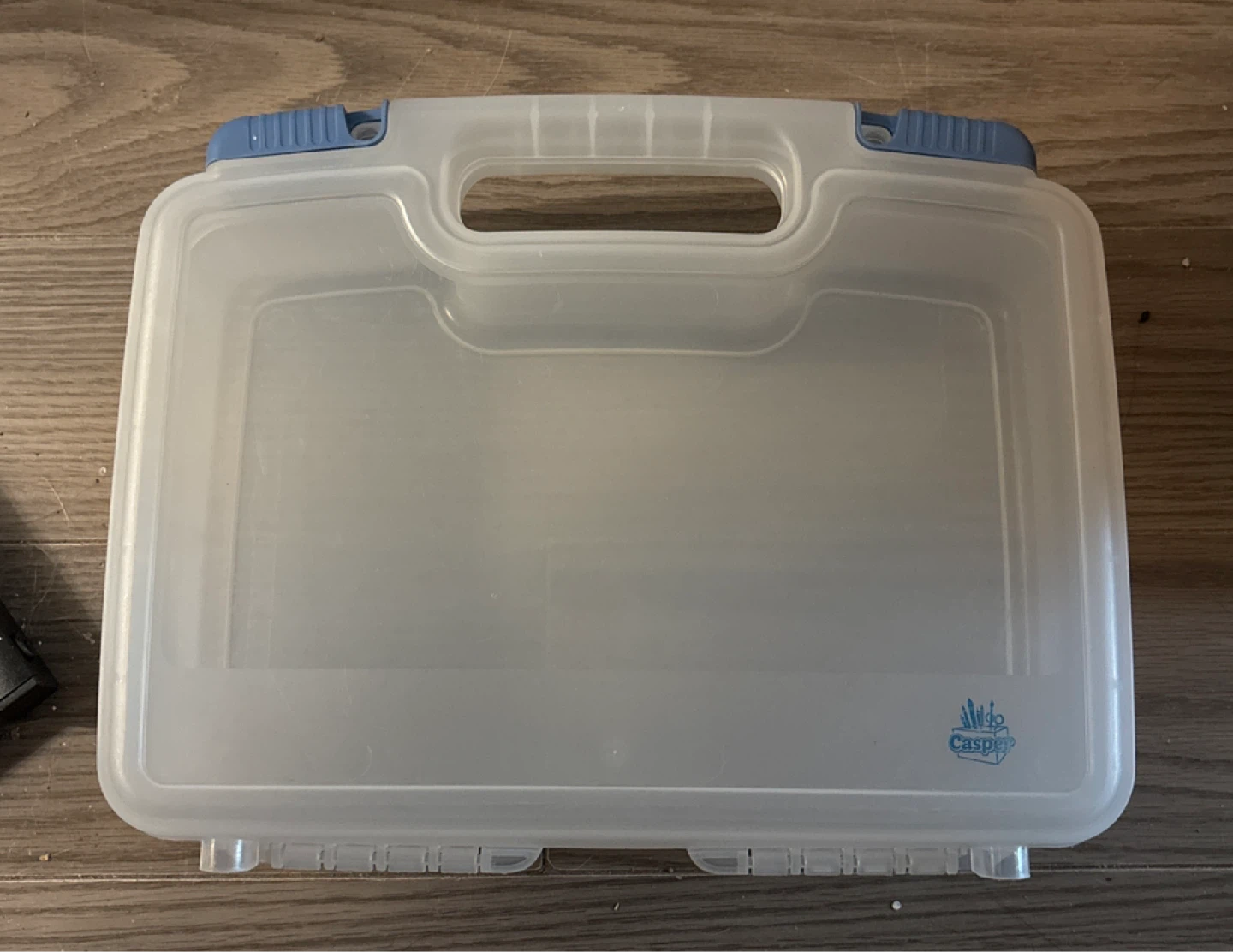 Clear Plastic Storage Case with Blue Latches - photo 2