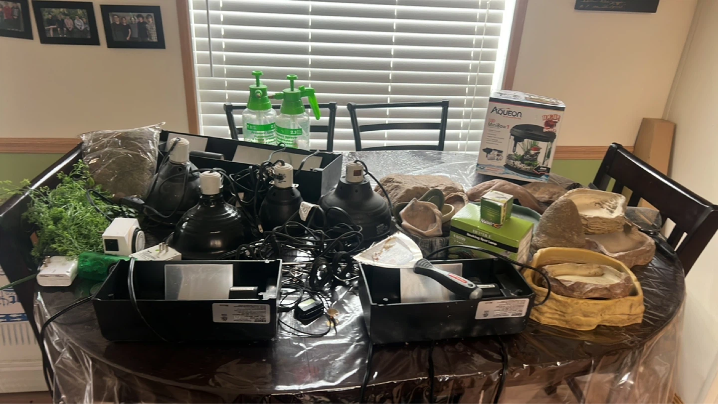 Reptile Terrarium Accessories Bundle