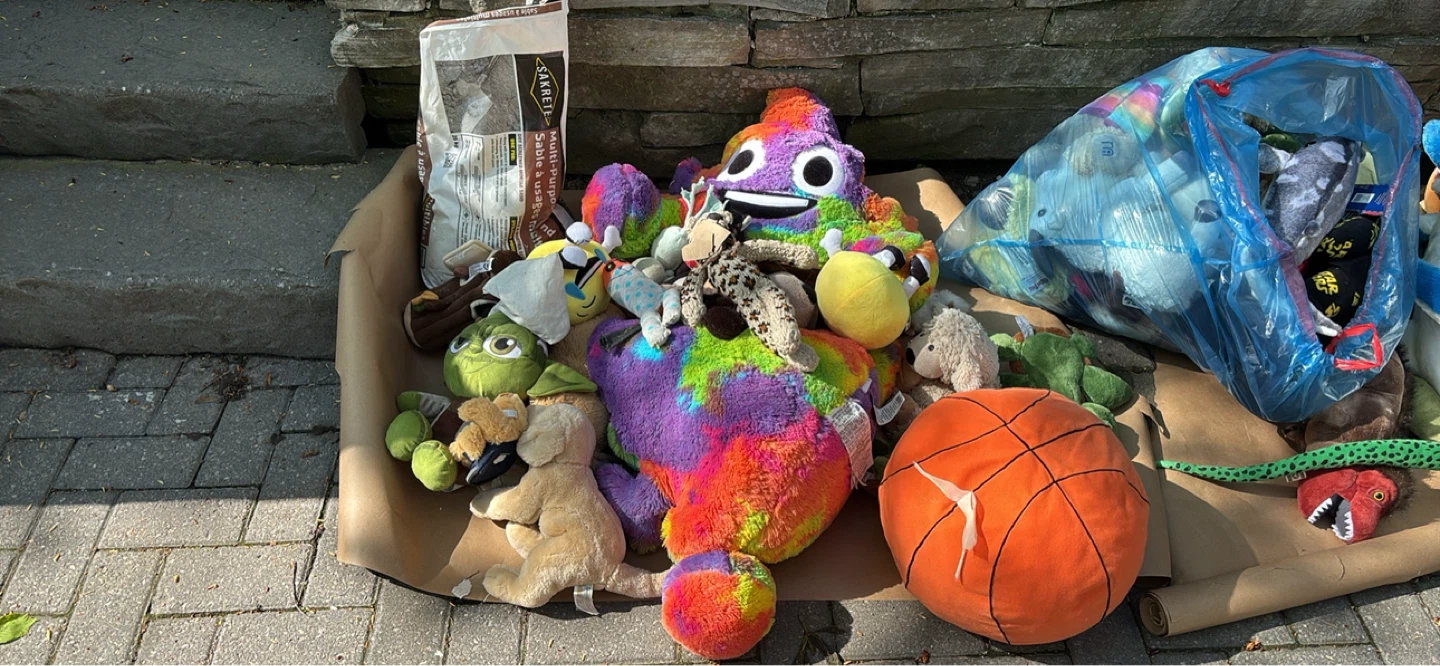 FREE -house clearance - photo 4