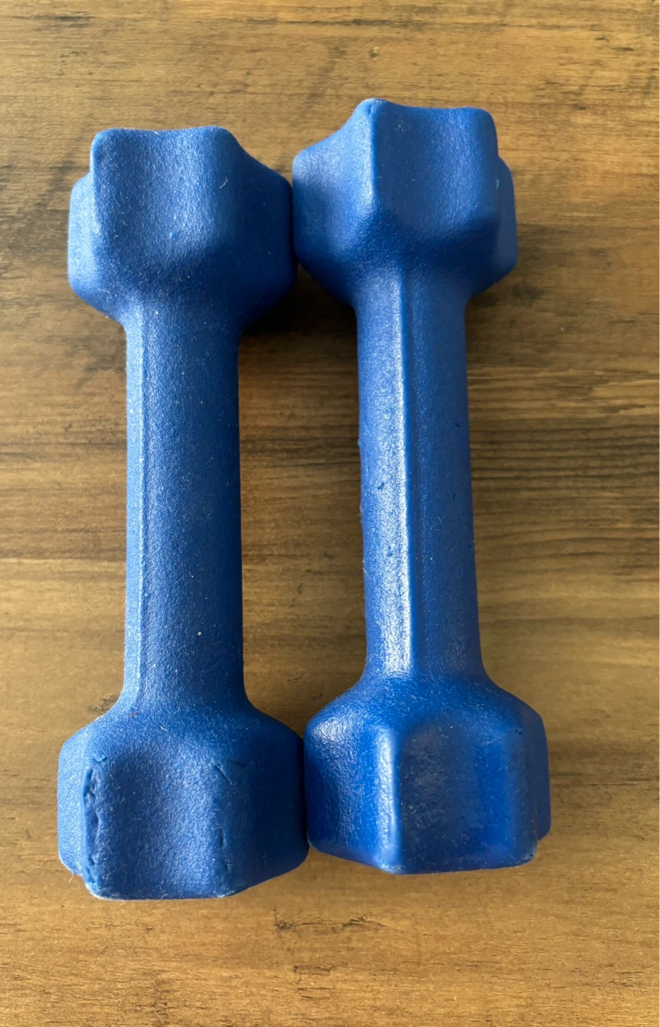Blue Dumbbells (2 LB each)