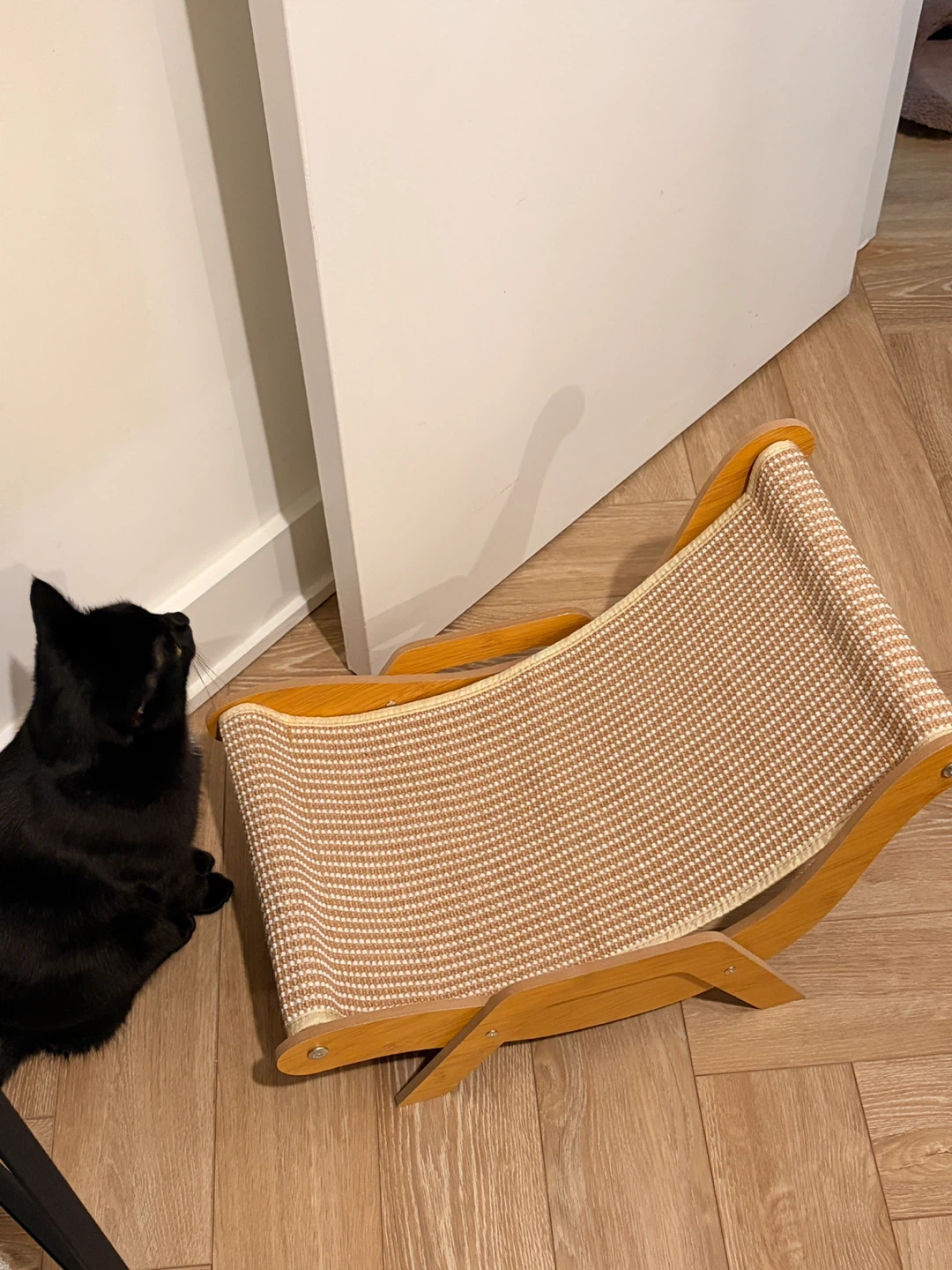 Cat stuff bundle - photo 3