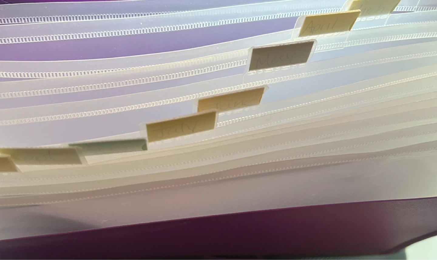 Expandable Accordion File Folder with Month Tabs - photo 2