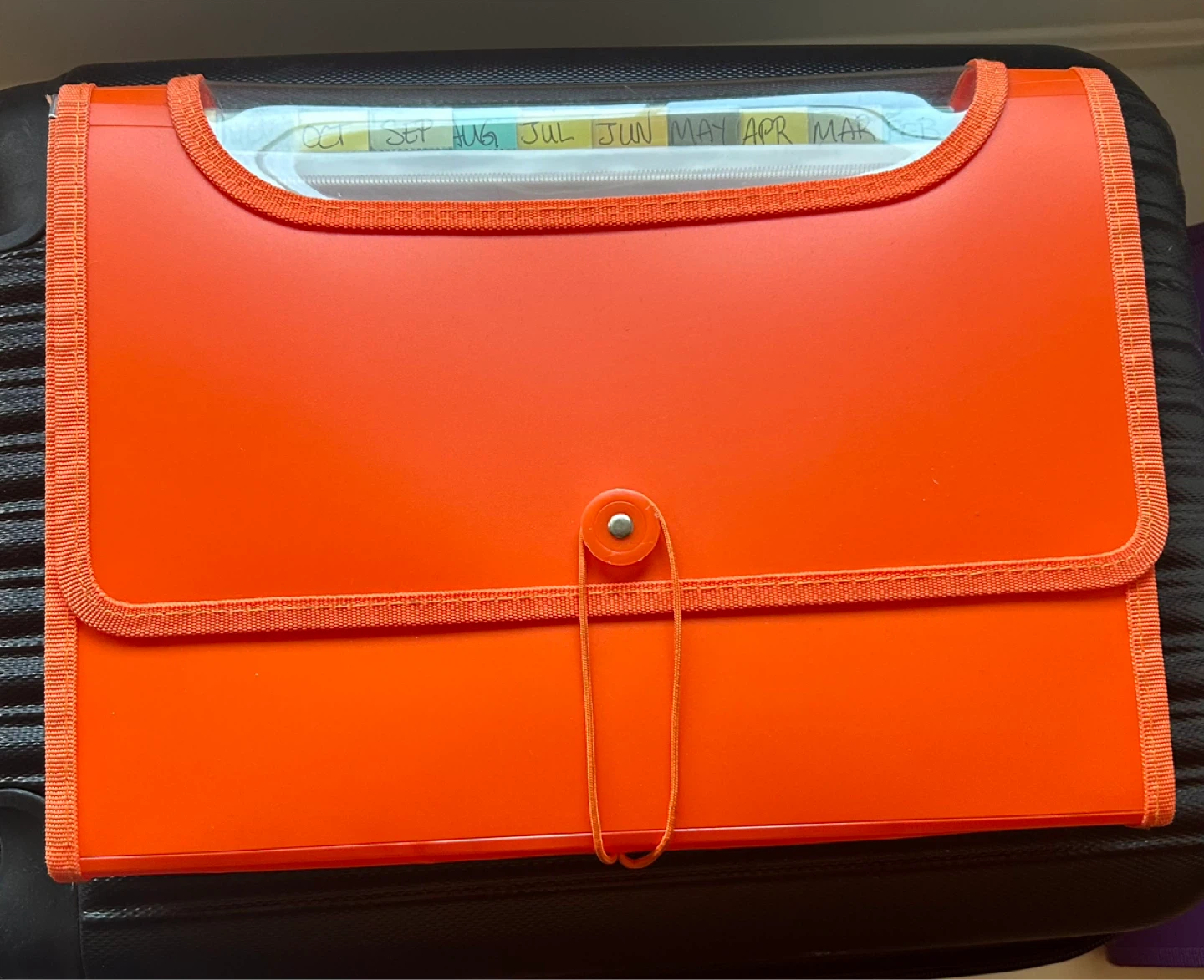 Expandable Accordion File Folder with Month Tabs