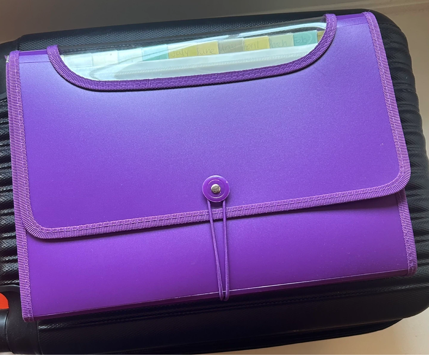 Expandable Accordion File Folder with Month Tabs - photo 4