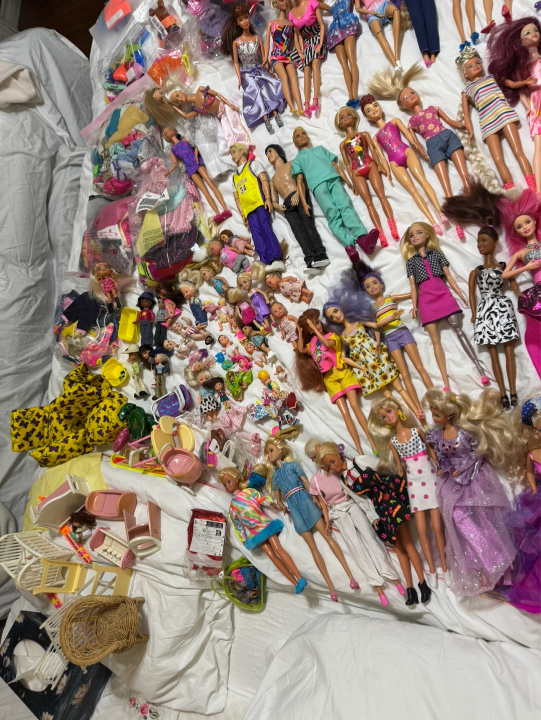 Assorted Barbie Dolls and Accessories