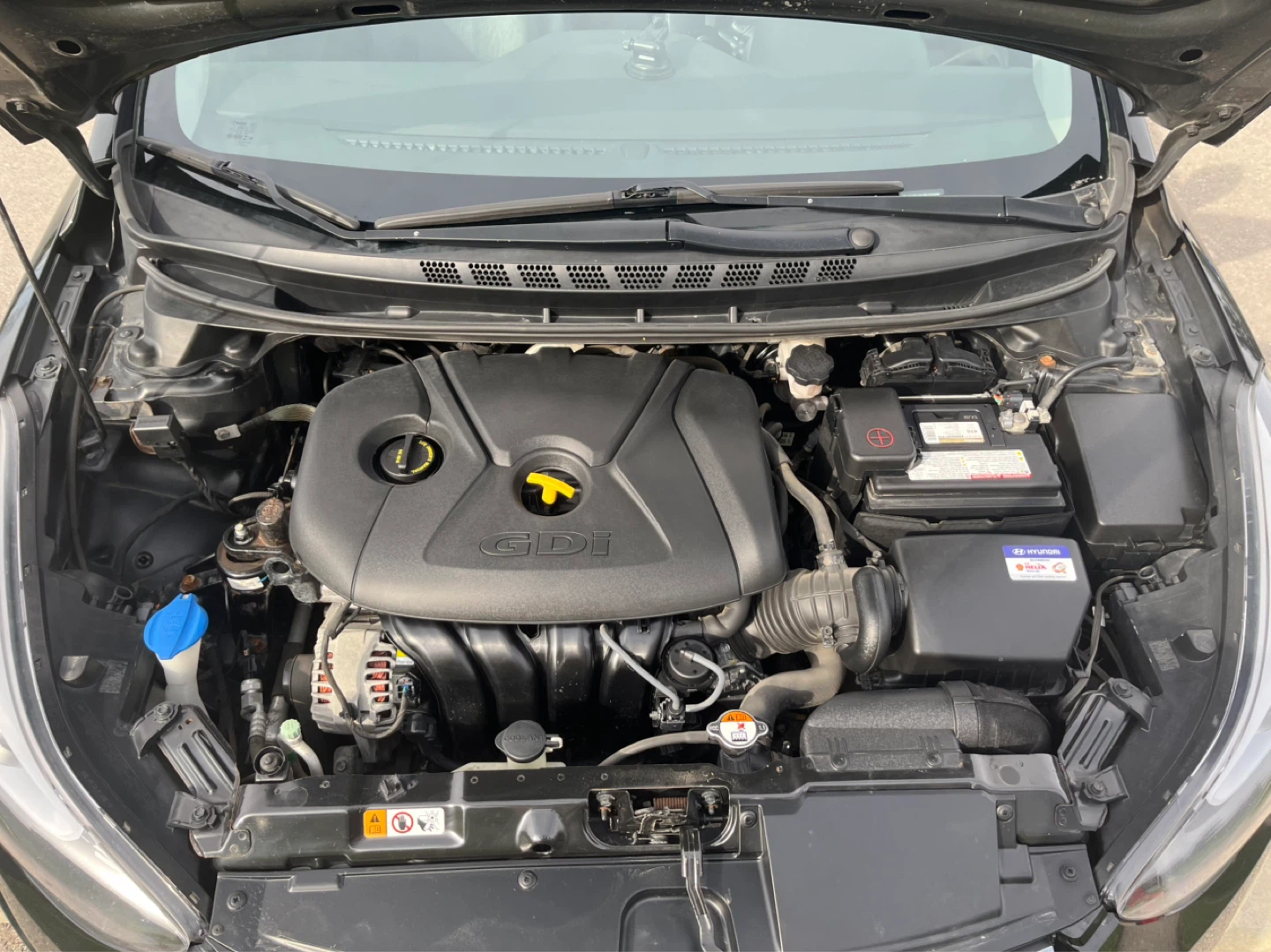 Hyundai Elantra Sedan - photo 5
