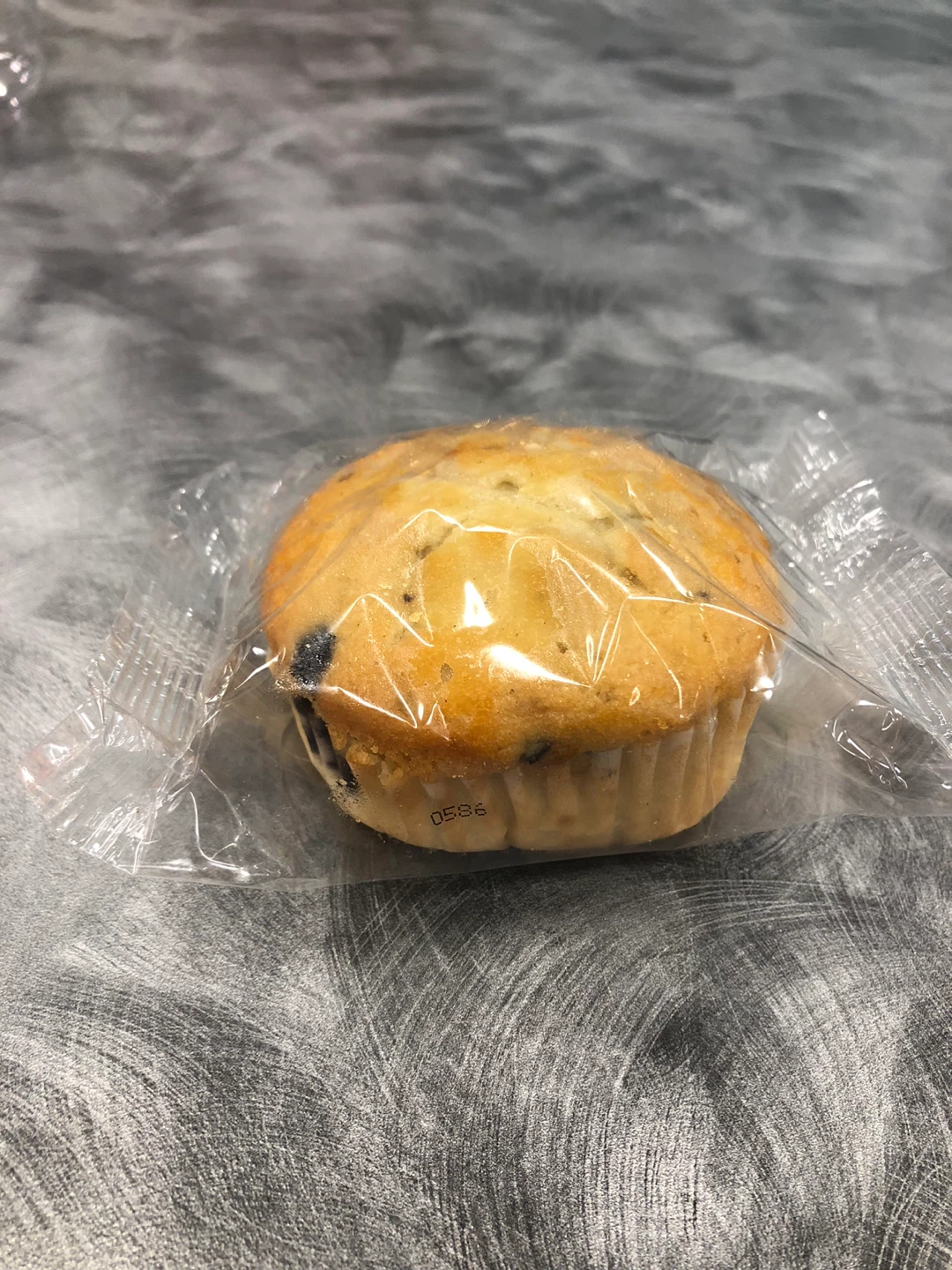 Blueberry Muffin