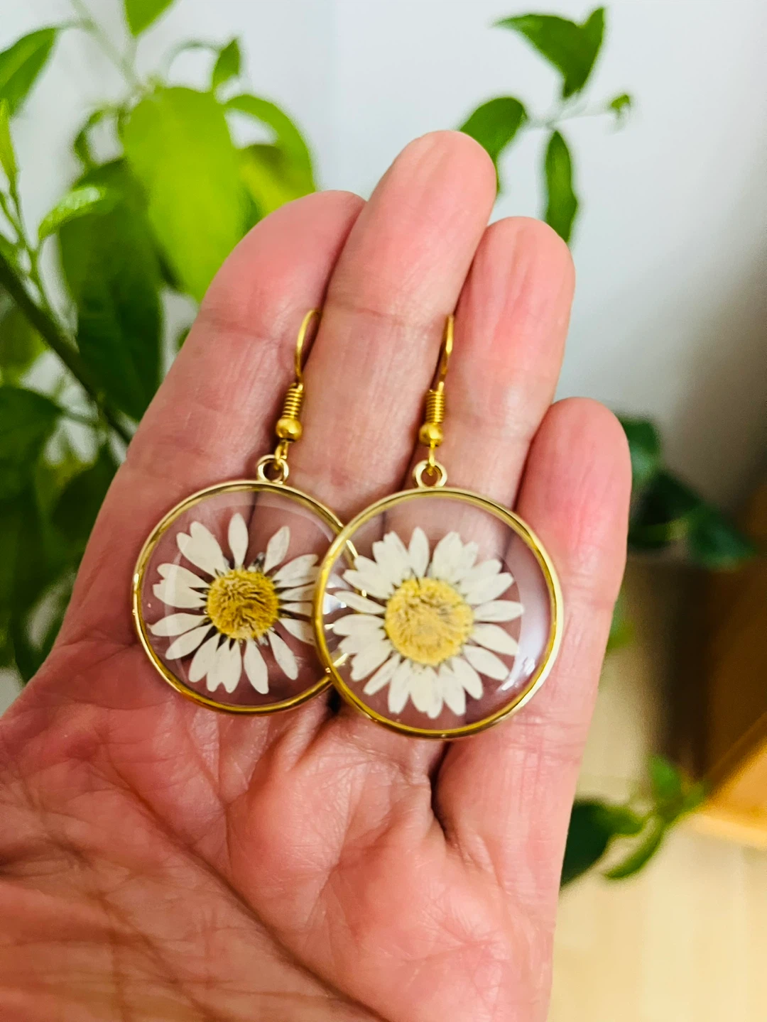 Dried Daisy Flower Earrings