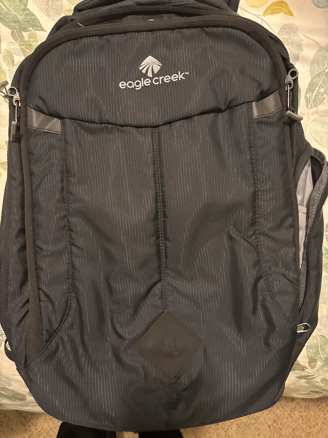 Eagle Creek Backpack