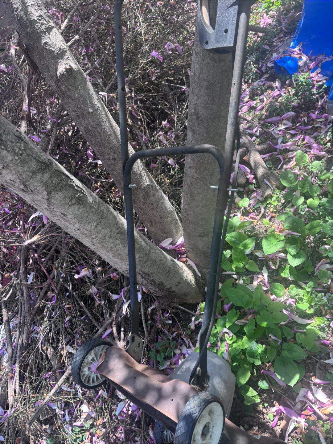Black & Decker Lawn Mower - photo 2