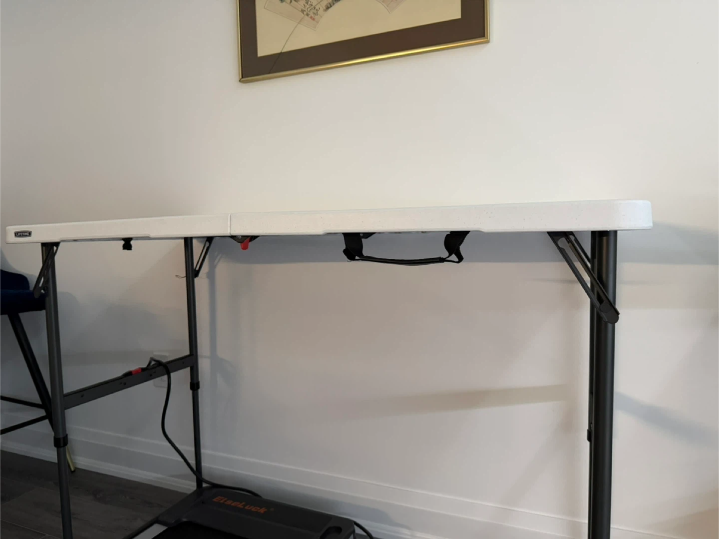 Lifetime Folding Table