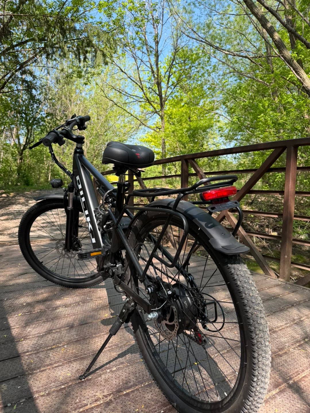 DILIKE Electric Bike