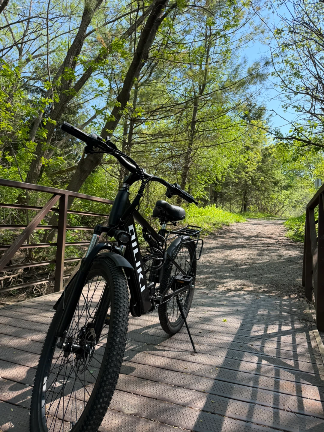 DILIKE Electric Bike - photo 2