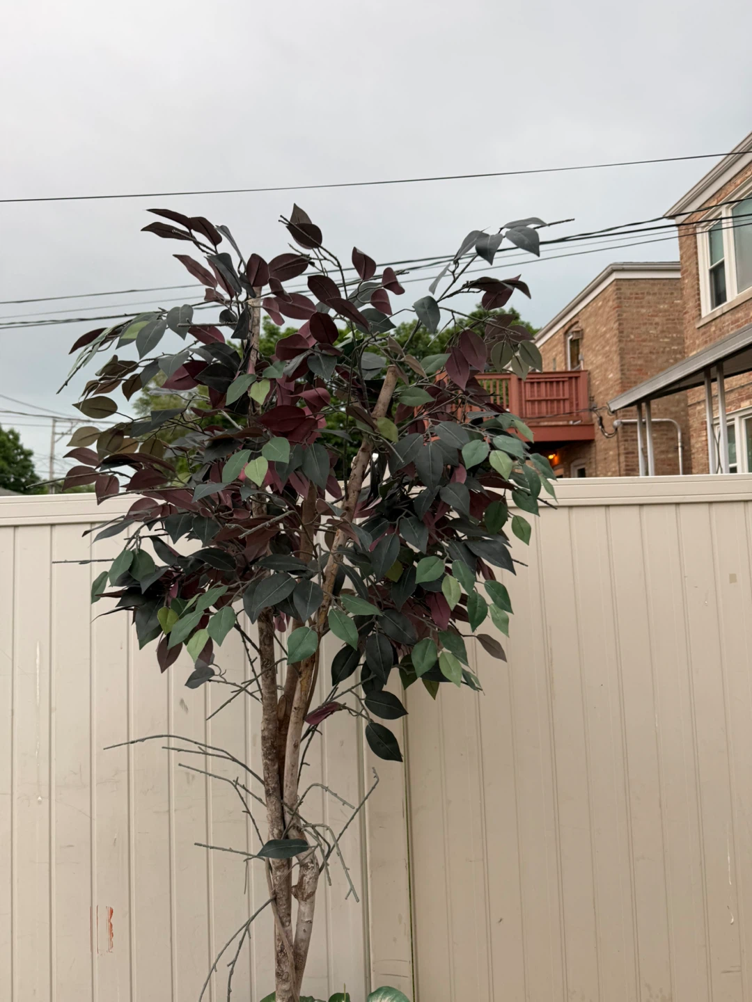 Artificial Ficus Tree in Black Planter - photo 3