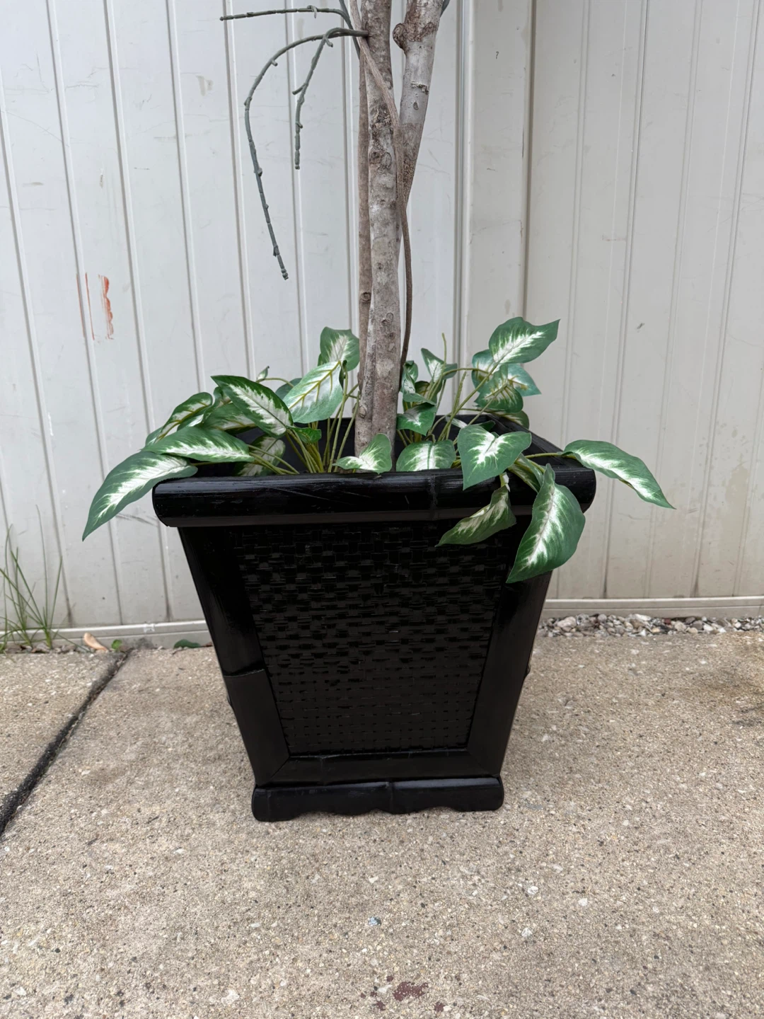 Artificial Ficus Tree in Black Planter - photo 2