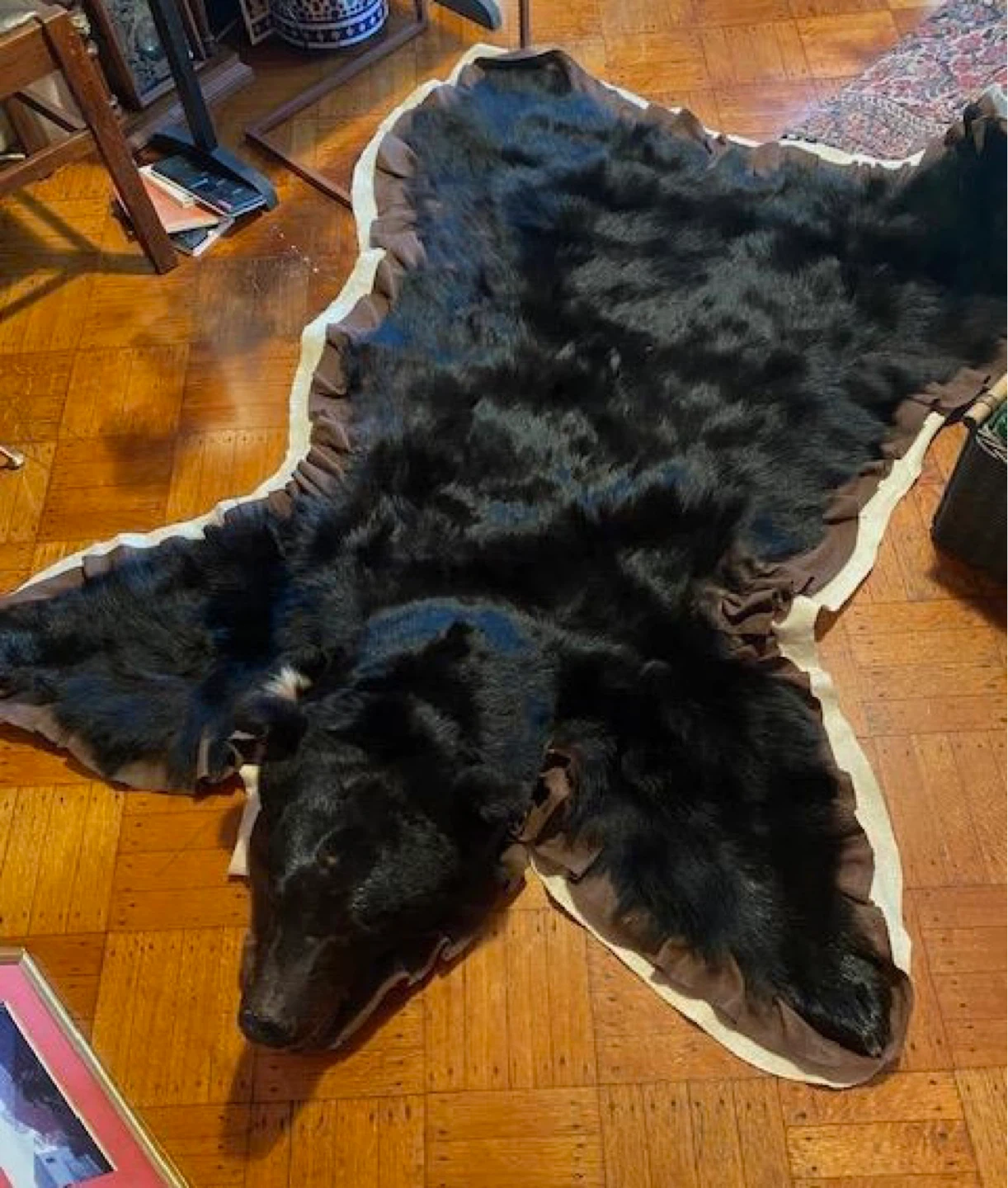 Bear skin rug.