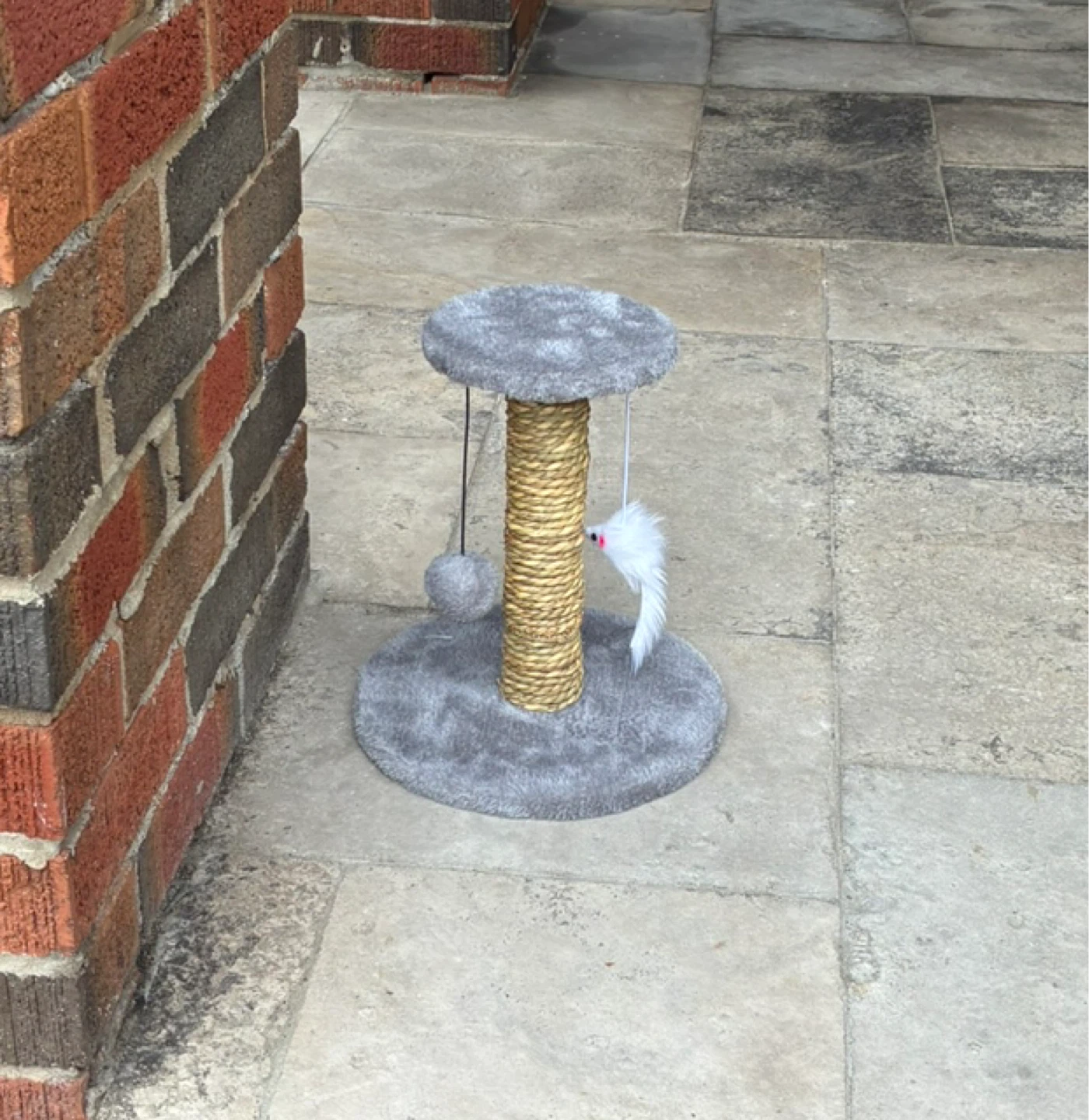 Small Cat Scratcher