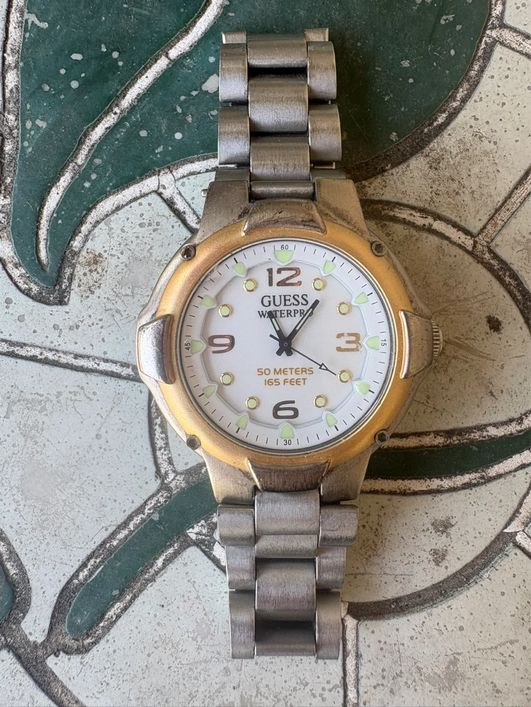 Guess Waterpro Watch