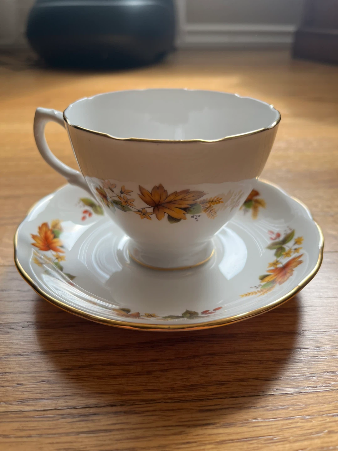 Royal Vale Teacup and Saucer Set - Autumn Leaves Pattern