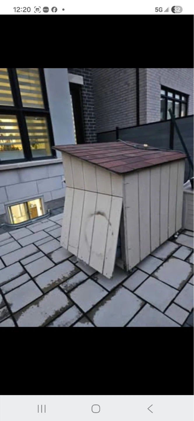 Dog house - photo 2