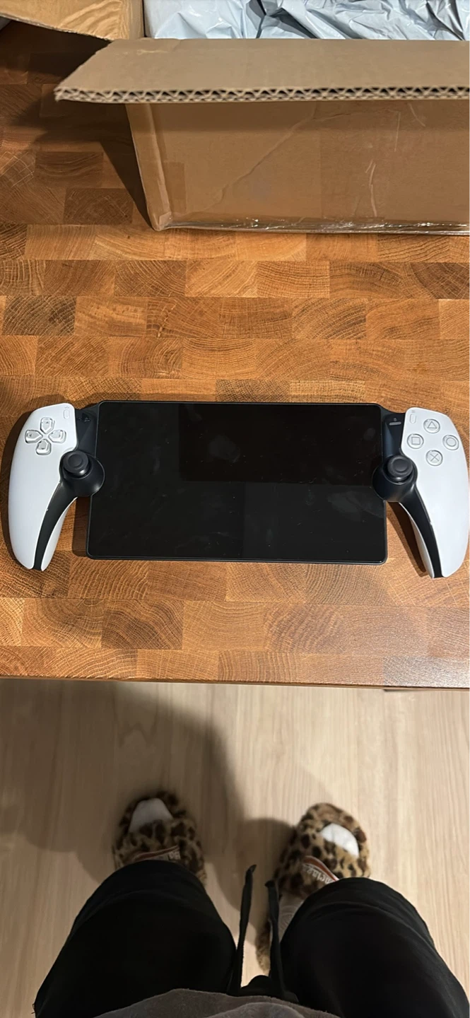 Ps5 portal