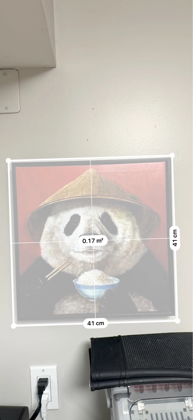Framed Panda with Rice Wall Art - photo 5