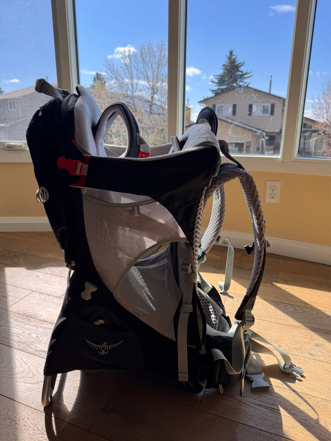 Osprey Poco AG Premium Child Carrier Backpack - photo 2