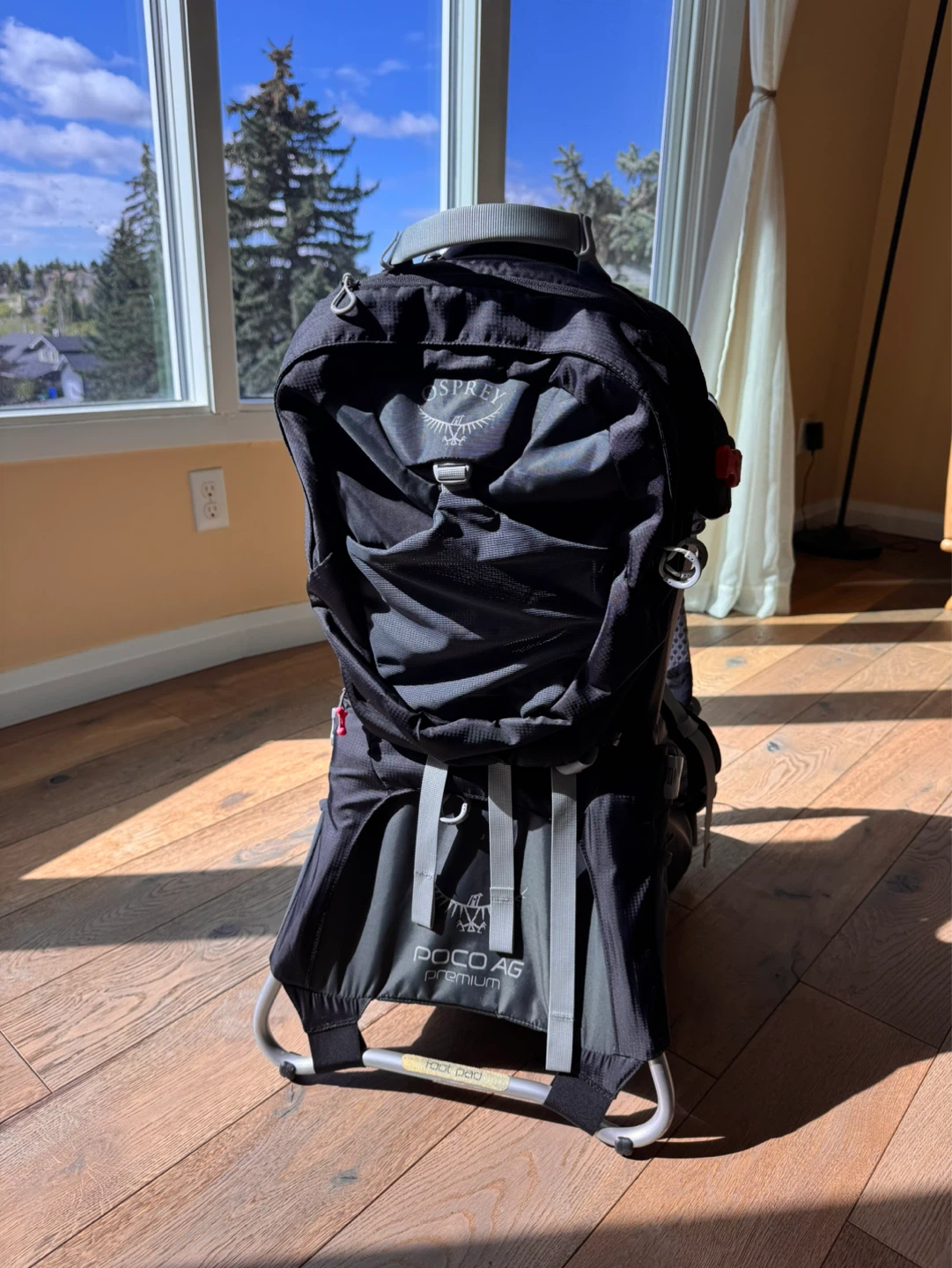 Osprey Poco AG Premium Child Carrier Backpack