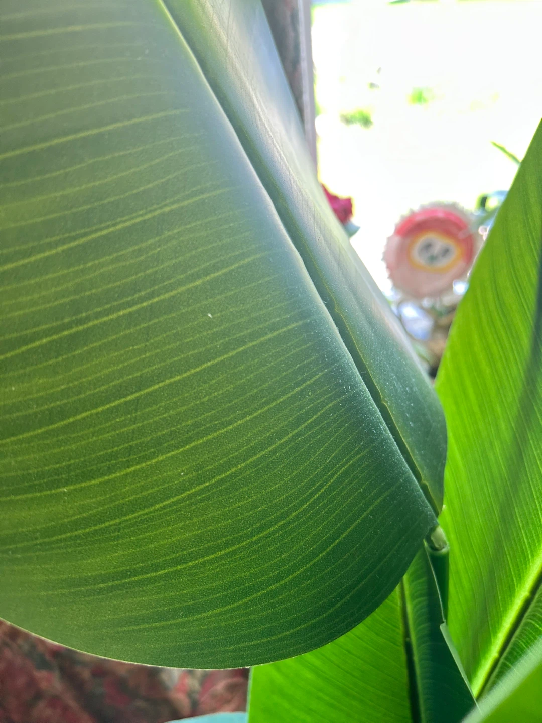 Tall Tropical Bird of Paradise-fake-artificial adjustable leaf