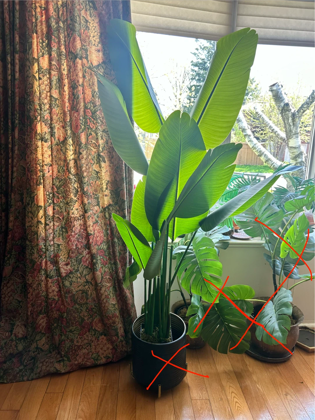 Tall Tropical Bird of Paradise-fake-artificial adjustable leaf - photo 2