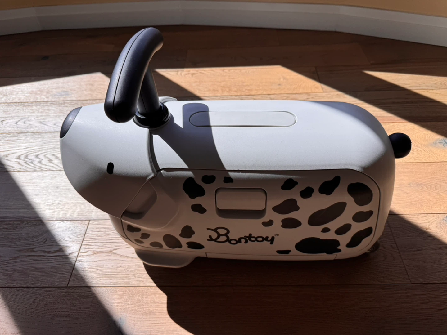 Ride-On Suitcase - photo 2