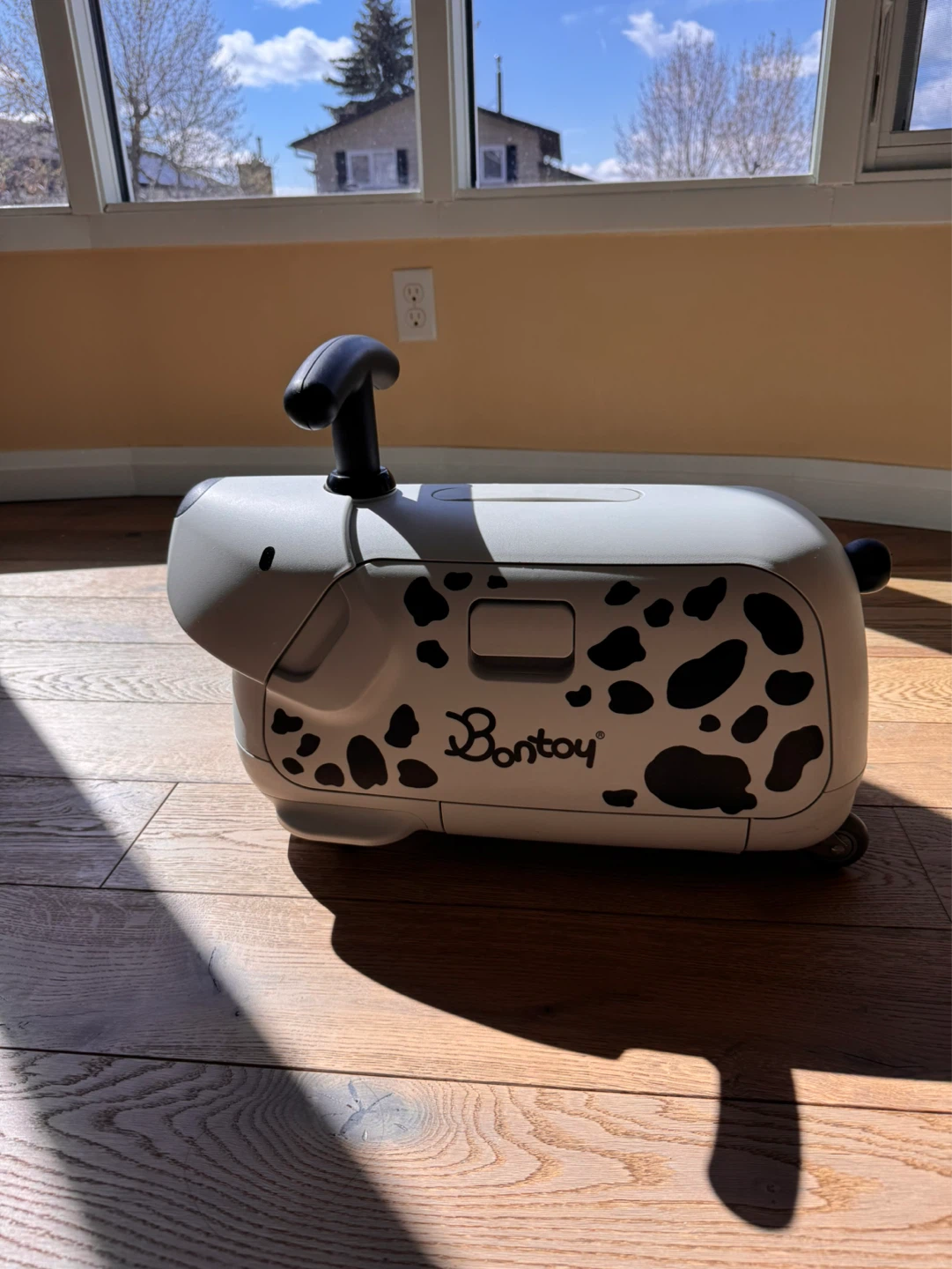 Ride-On Suitcase