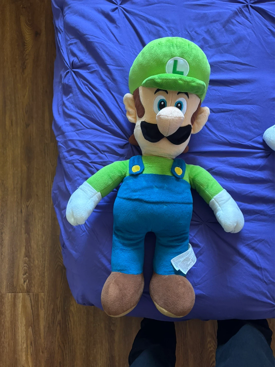 Mario and Luigi Plush Toys - photo 3