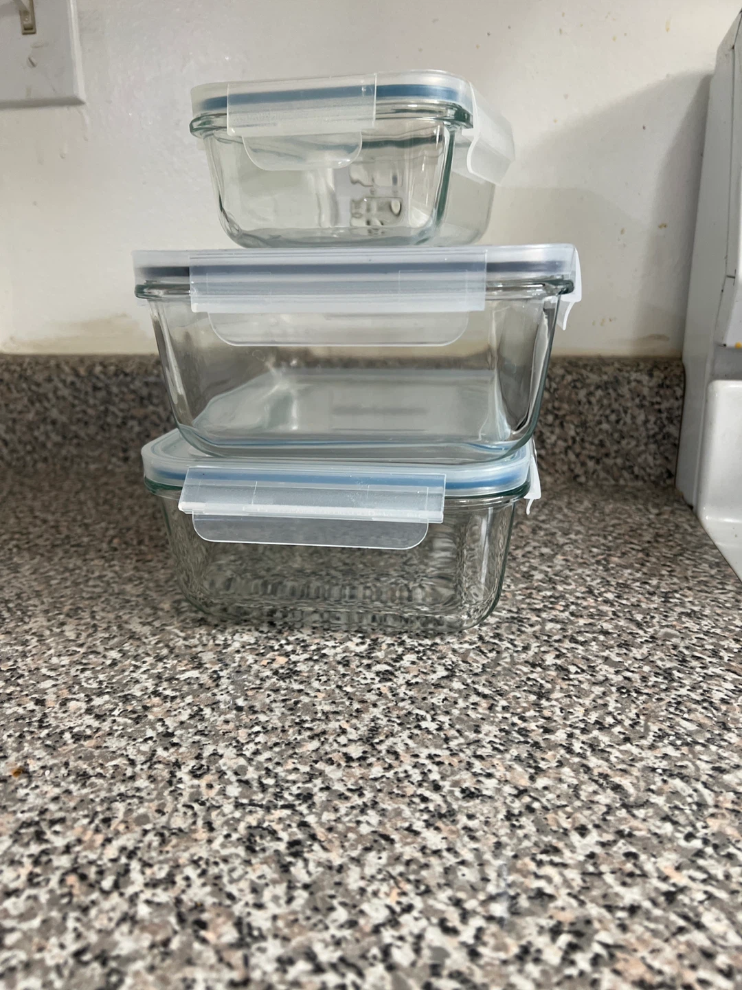 Hearth Kitchen Glass Food Storage Containers (Set of 3)