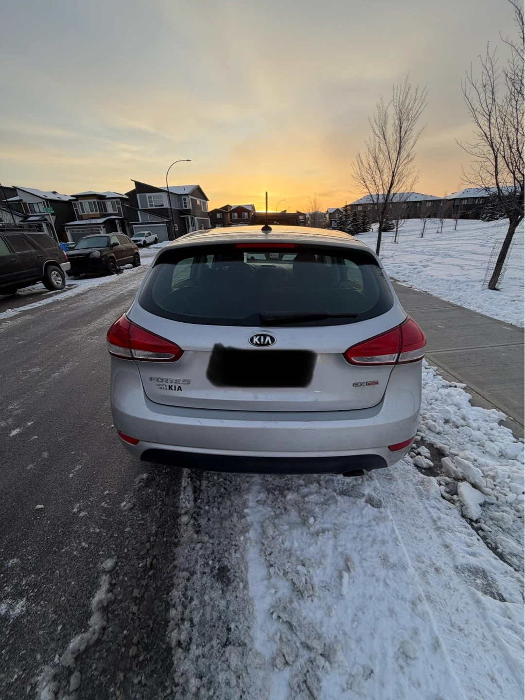 Silver 2015 Kia Forte 5 EX Hatchback - photo 3