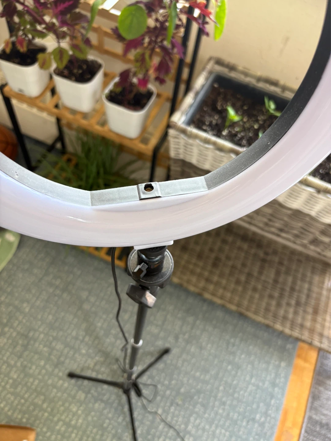 Ring Light with Stand - photo 2
