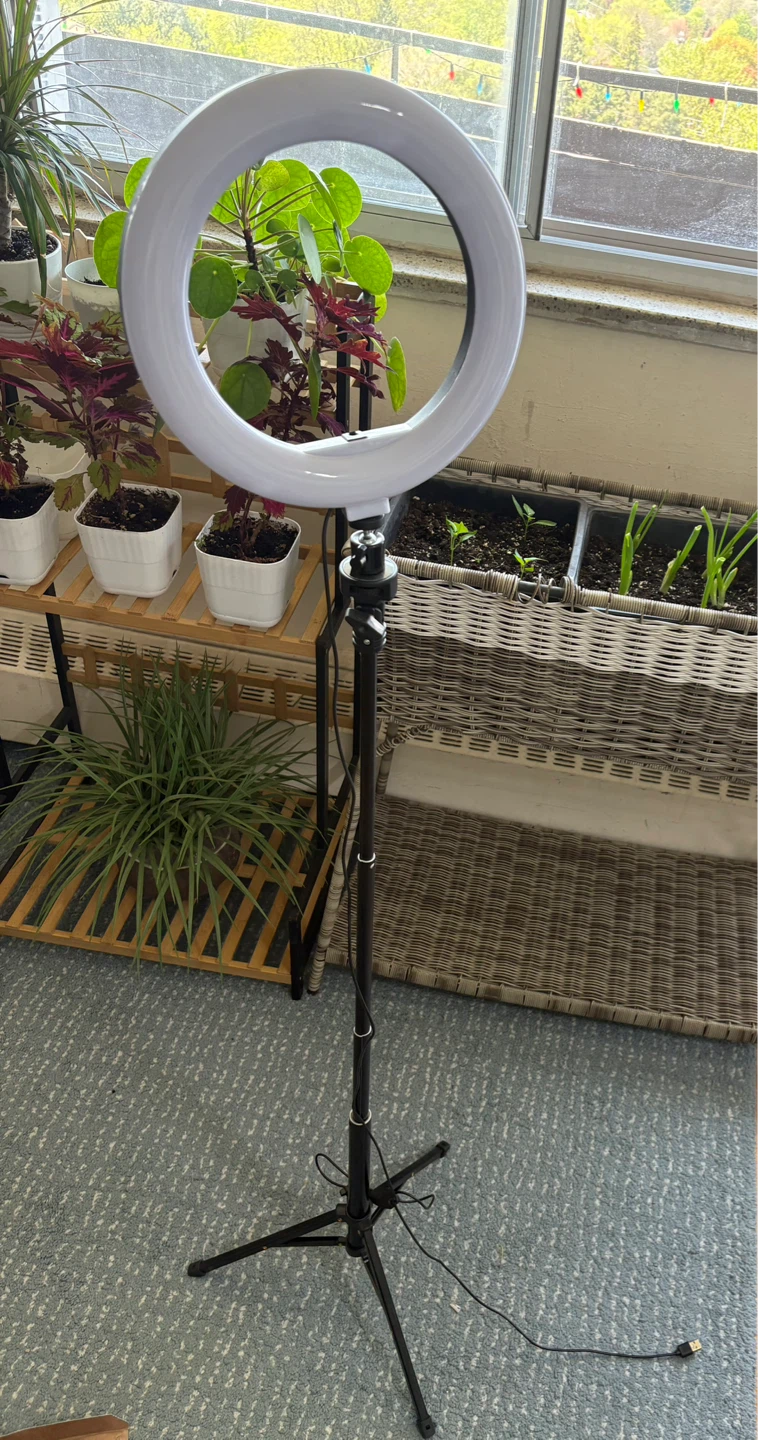Ring Light with Stand