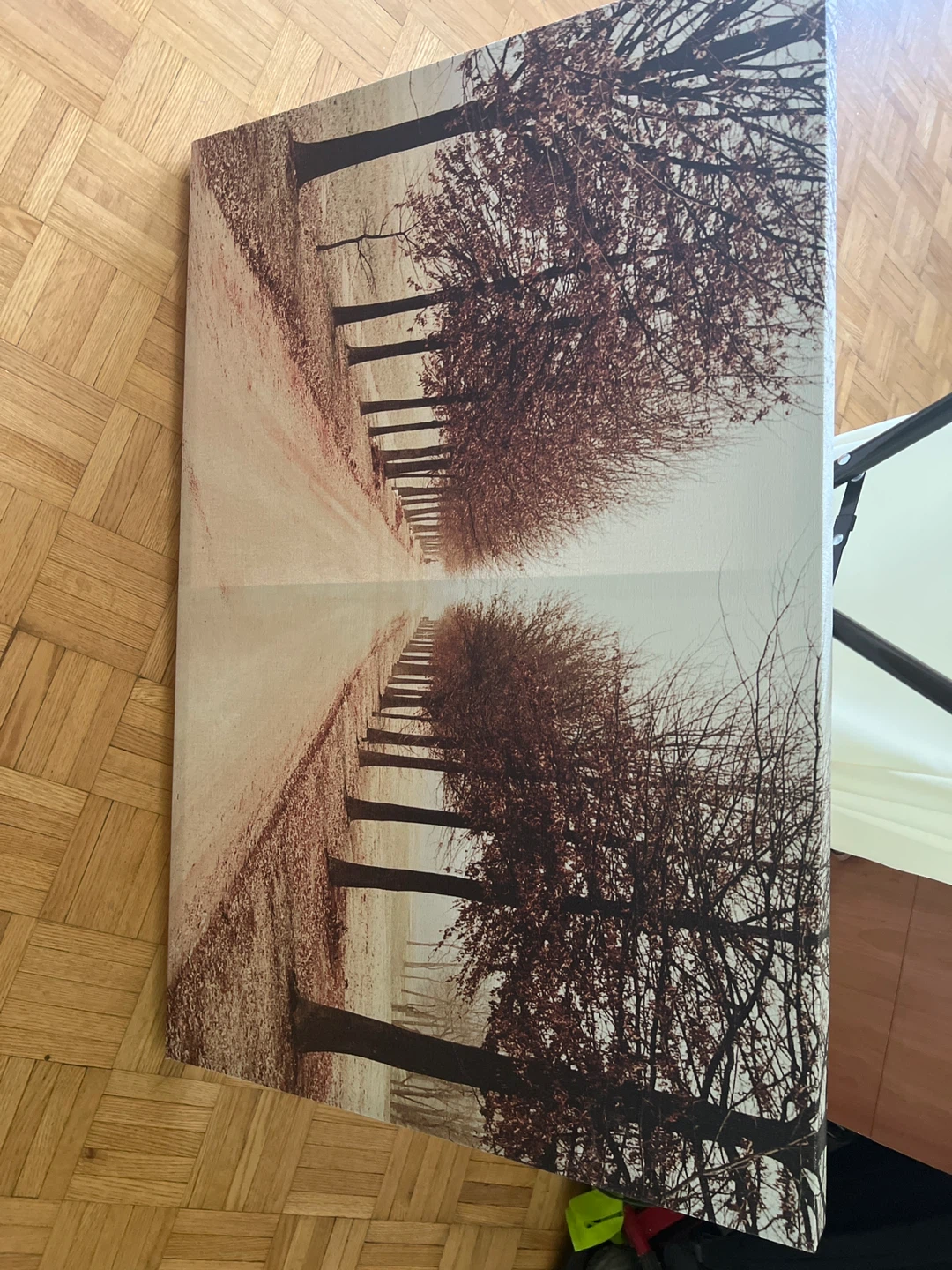 Canvas Wall Art - Trees Lined Road