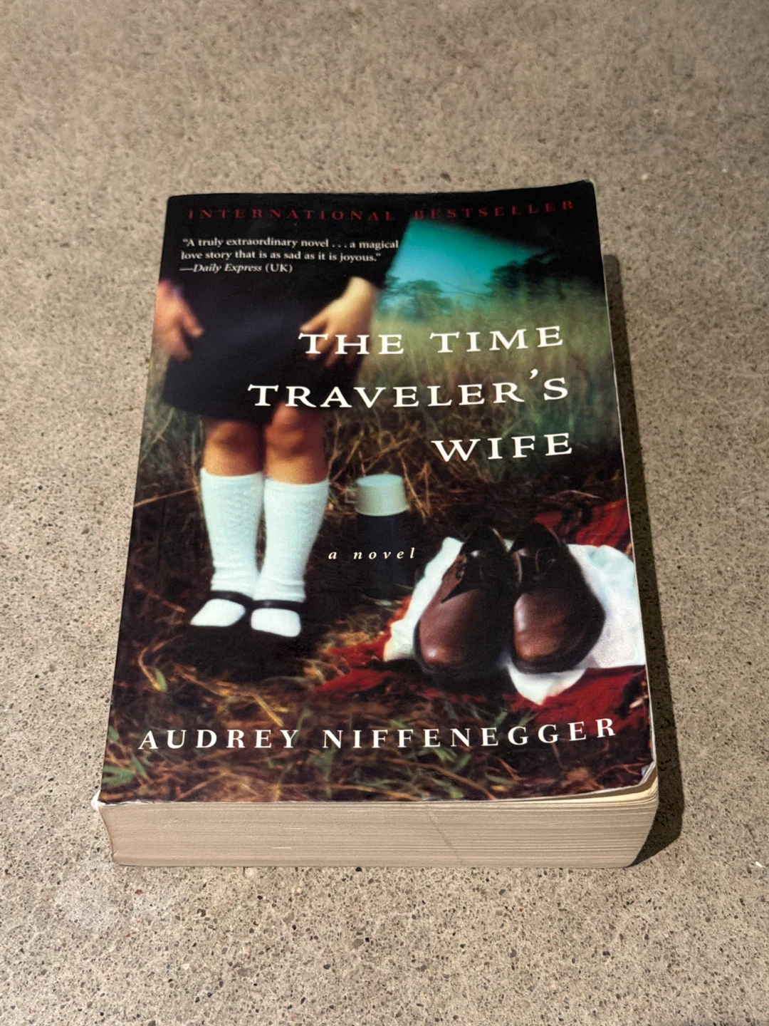 The Time Traveler's Wife by Audrey Niffenegger Novel