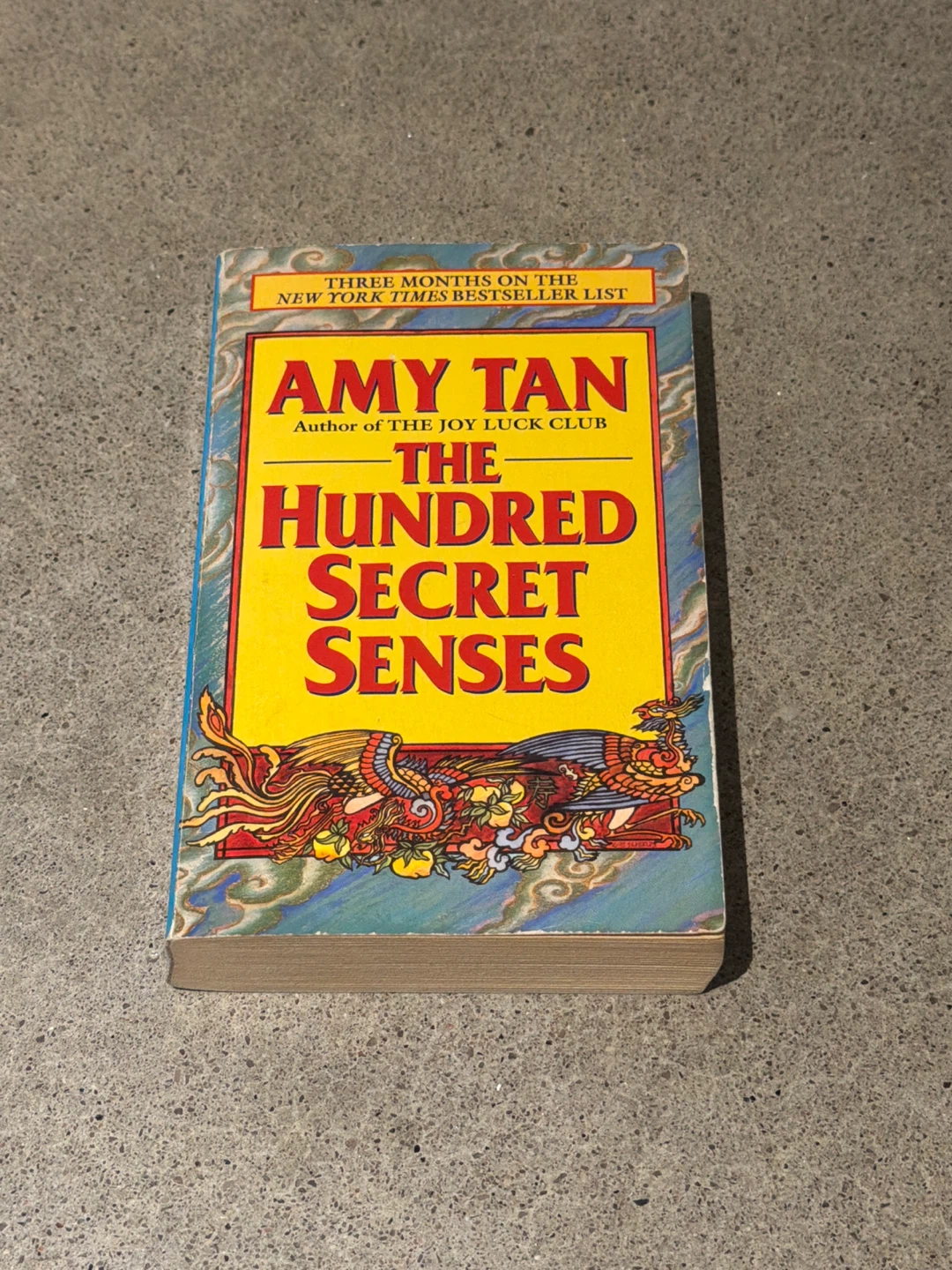 The Hundred Secret Senses by Amy Tan Paperback Book